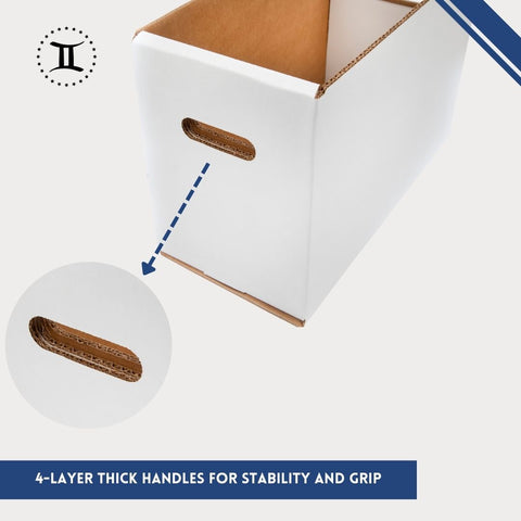 SHORT THICK-GRIP COMIC STORAGE BOX & DIVIDER PADS BUNDLE